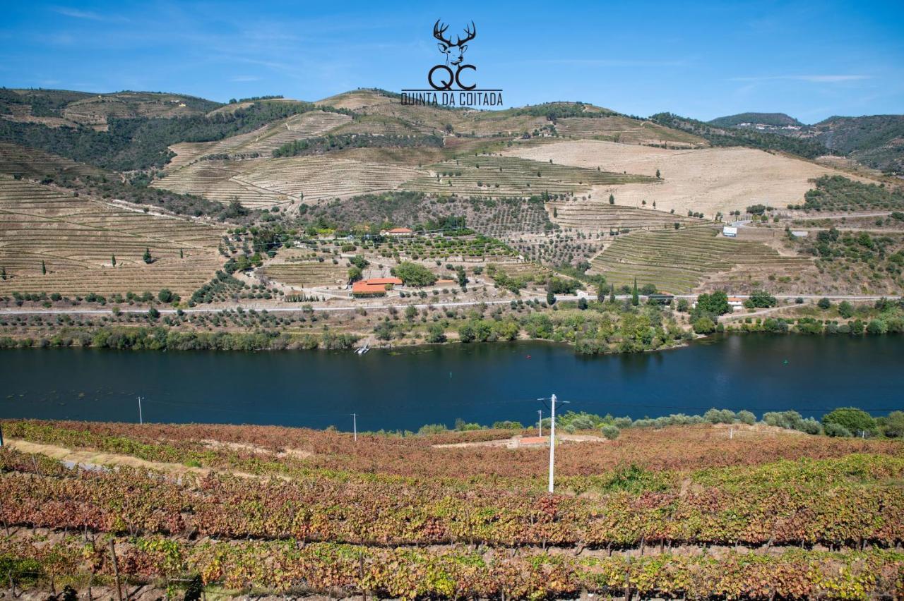 Quinta Da Coitada - Local Farm stay